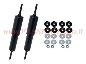ammortizzatori posteriori Fiat 500