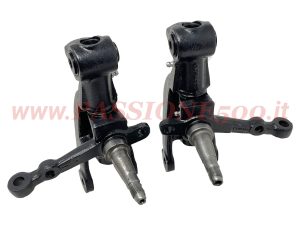 coppia perni fusi Fiat 500