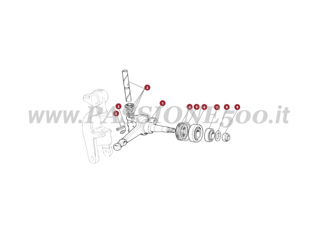 ESPLOSO 31M – Perno fuso a snodo FIAT 500L